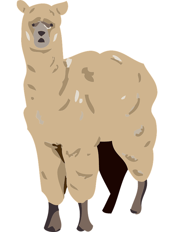 Alpaca Clipart Transparent Free