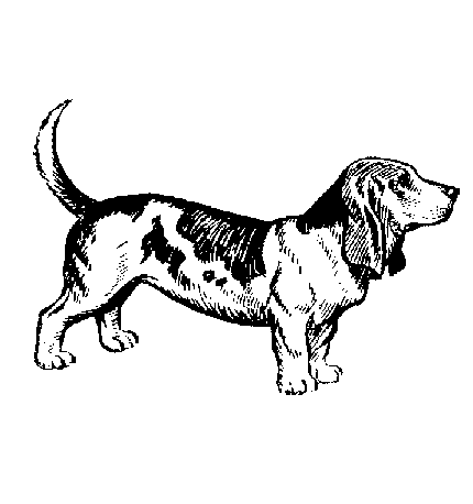 Beagle Clipart Black and White