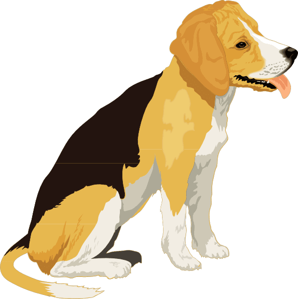 Beagle Clipart Transparent Free