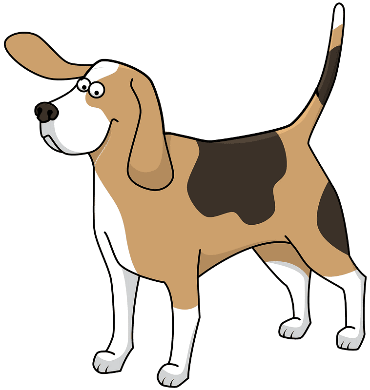 Beagle Dog Clipart Transparent