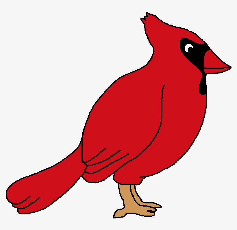 Cardinal Bird Clipart Free