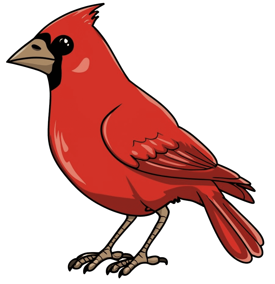 Cardinal Bird Clipart Transparent Background