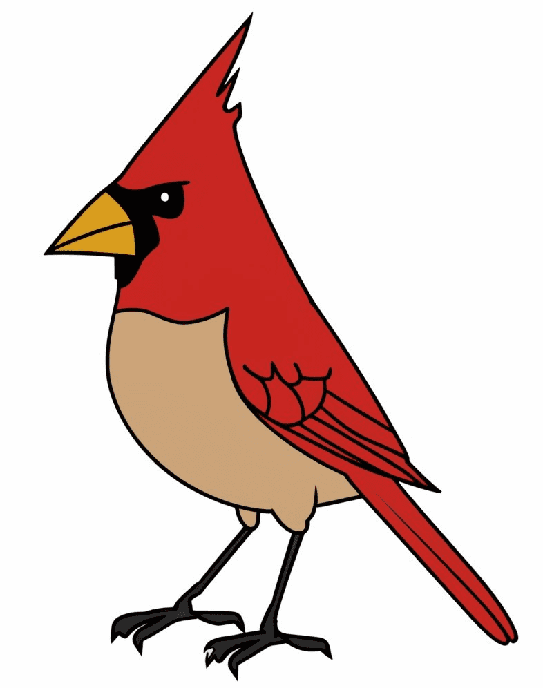 Cardinal Clipart Free Pictures