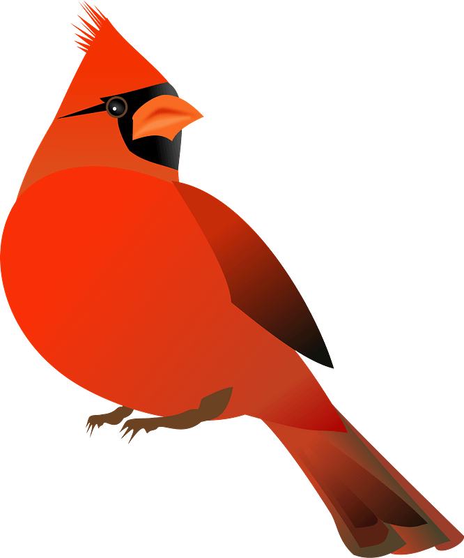 Cardinal Transparent Clipart