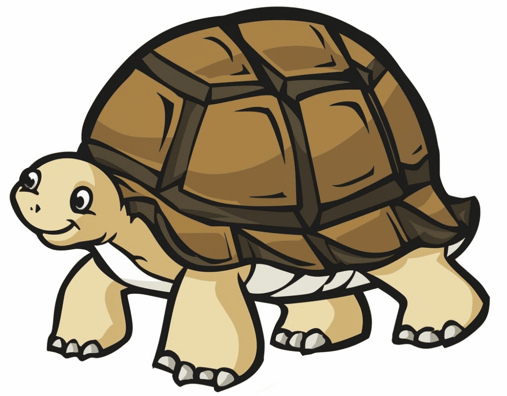 Clipart Tortoise