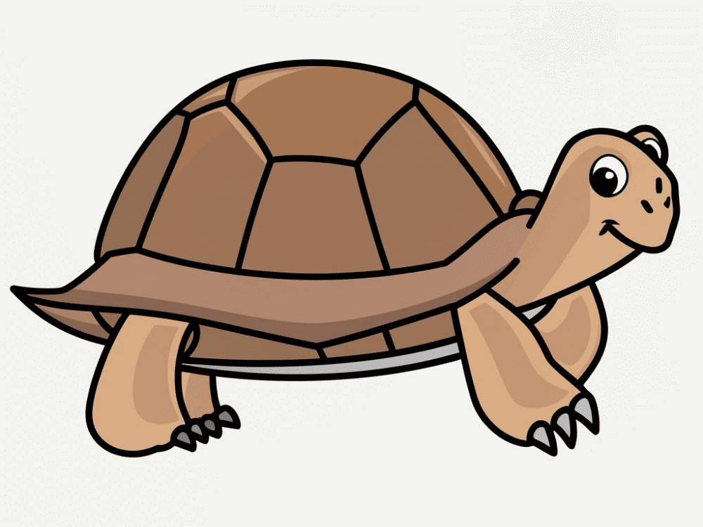 Clipart of Tortoise
