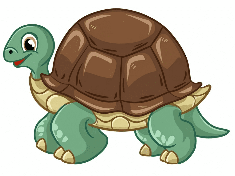 Free Tortoise Clipart Png