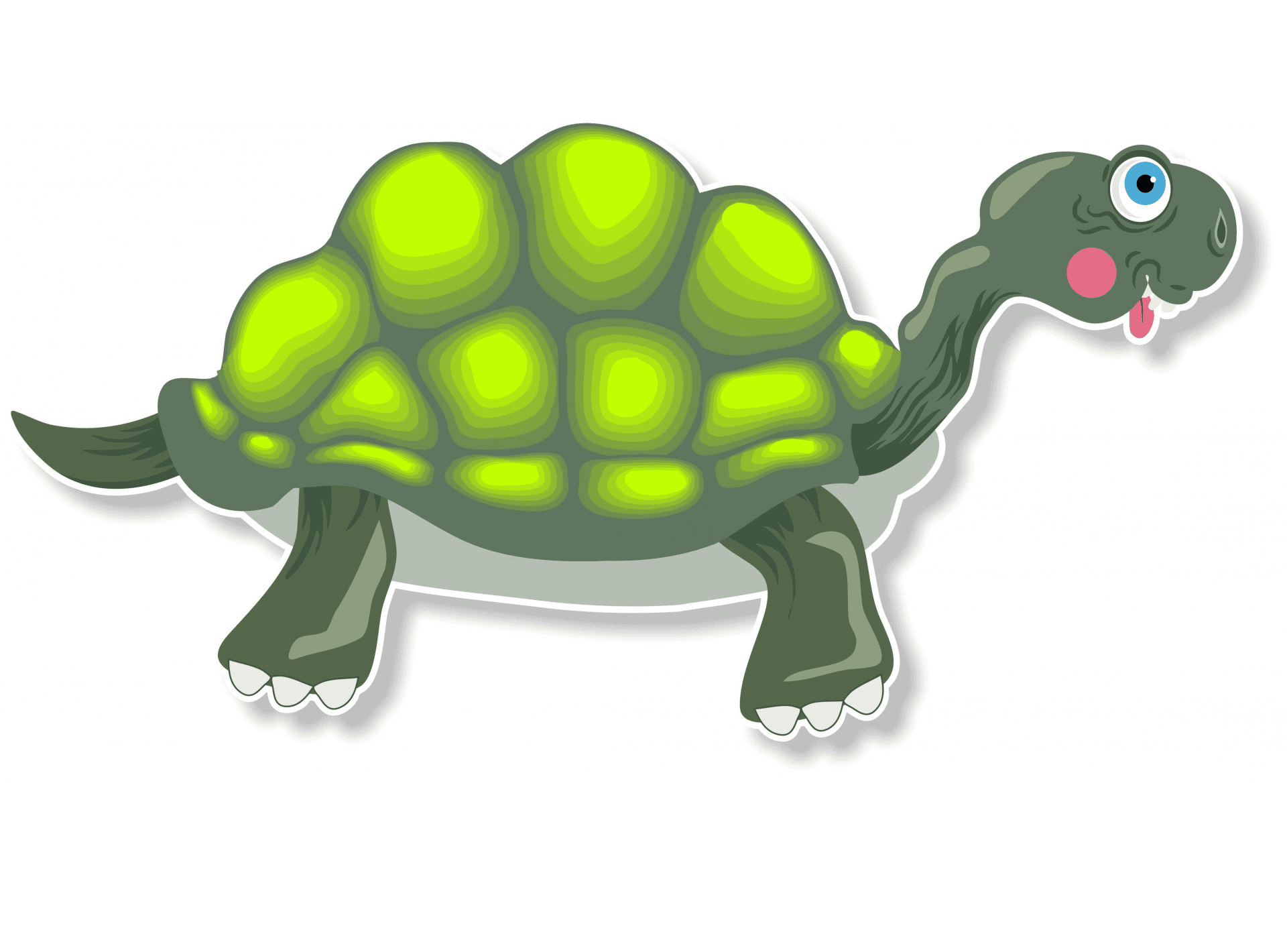 Funny Tortoise Clipart