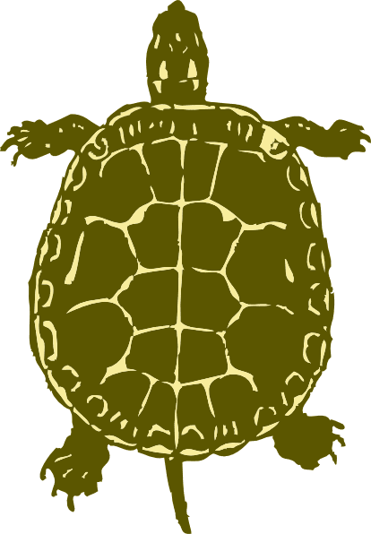 Tortoise Clipart Free Images