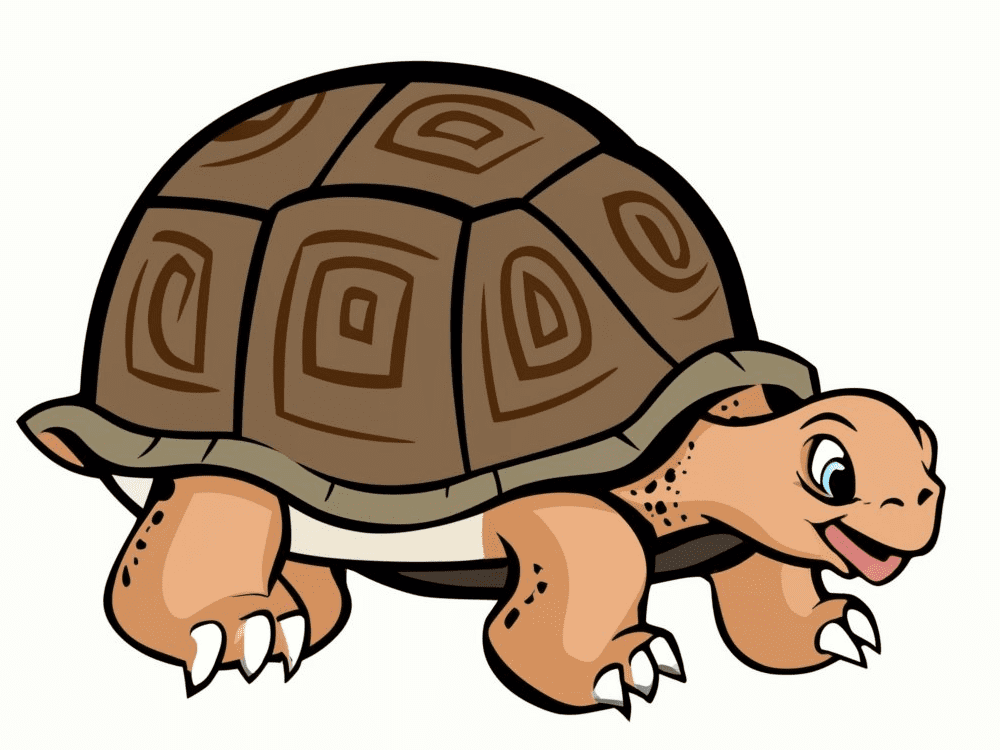 Tortoise Clipart Images