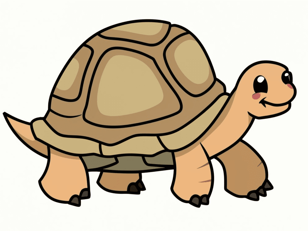 Tortoise Clipart Picture