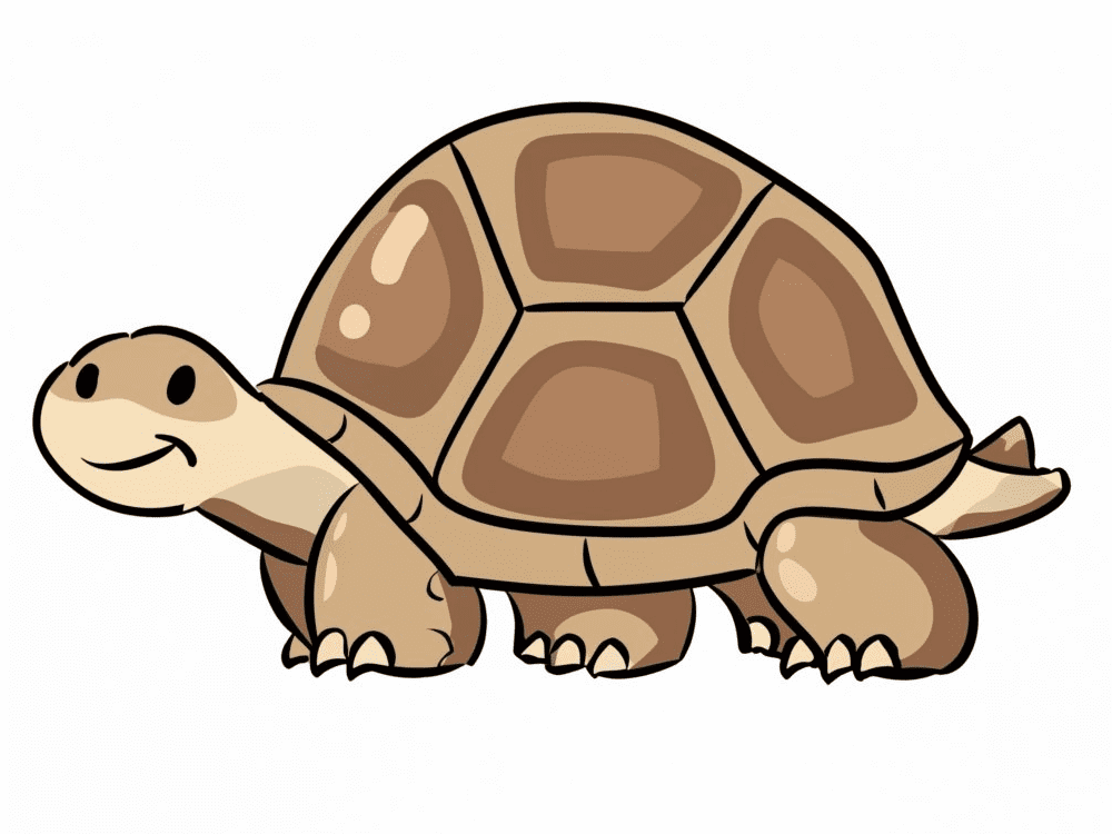 Tortoise Clipart Png Free