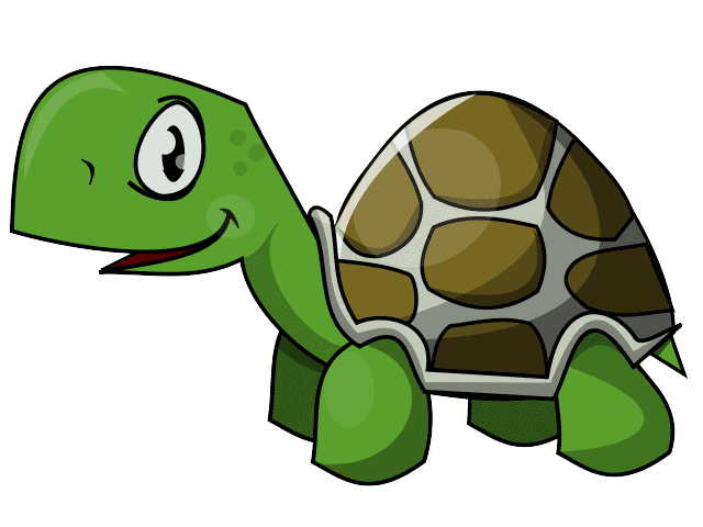 Tortoise Clipart Png Image
