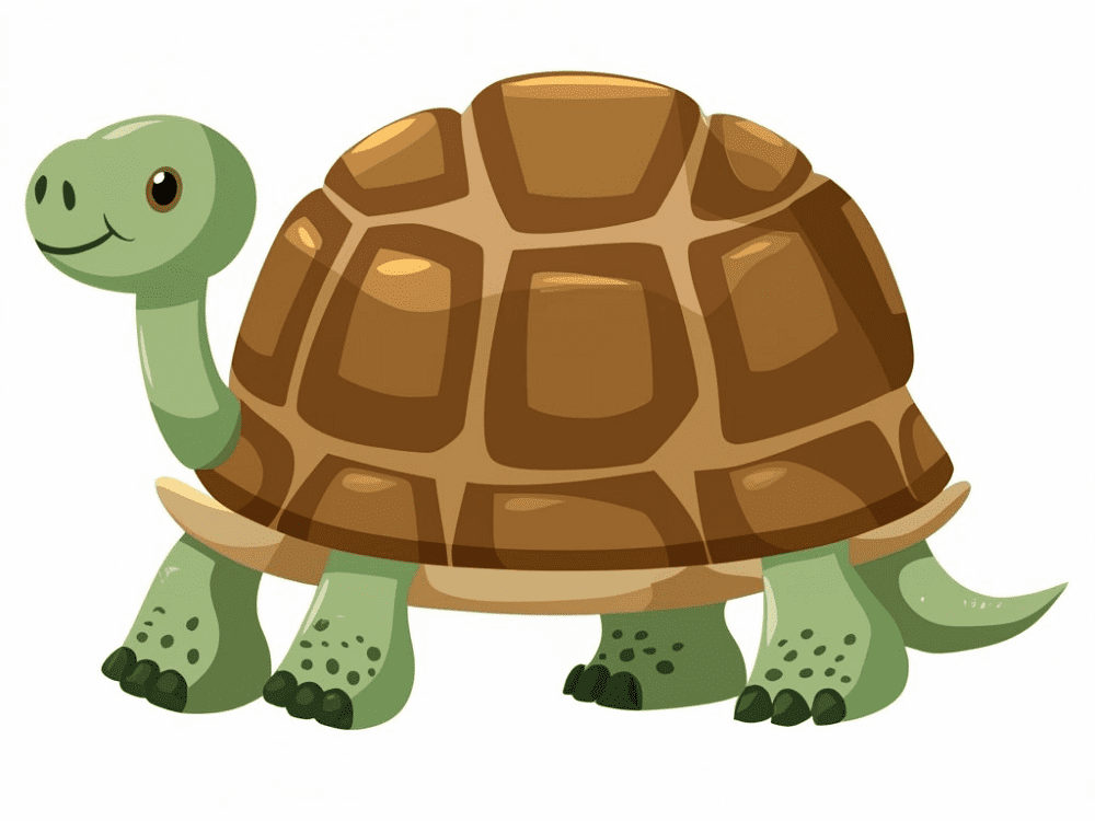 Tortoise Clipart Png Photo