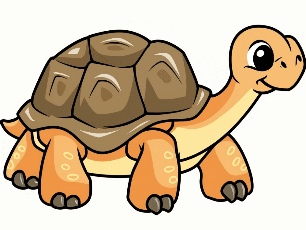 Tortoise Clipart Png Picture