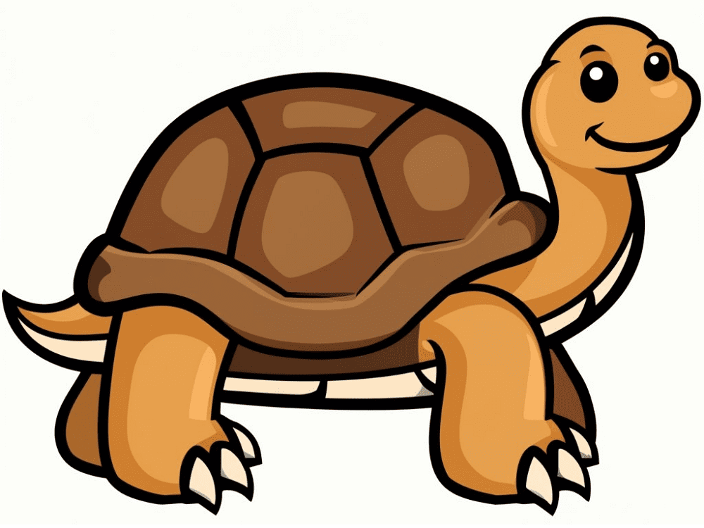 Tortoise Clipart Png Pictures