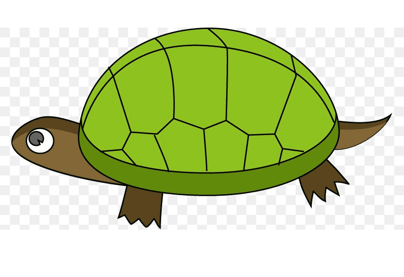 Tortoise Clipart Png