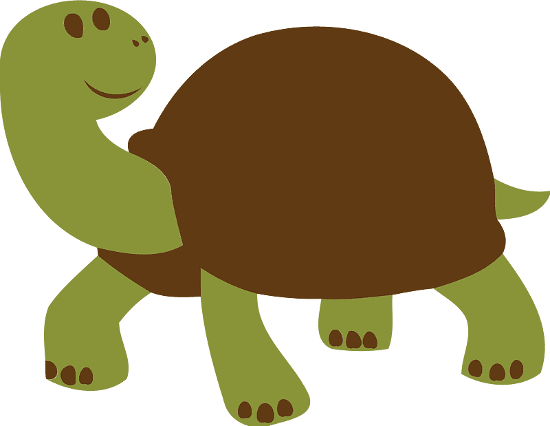 Tortoise Clipart Transparent Download