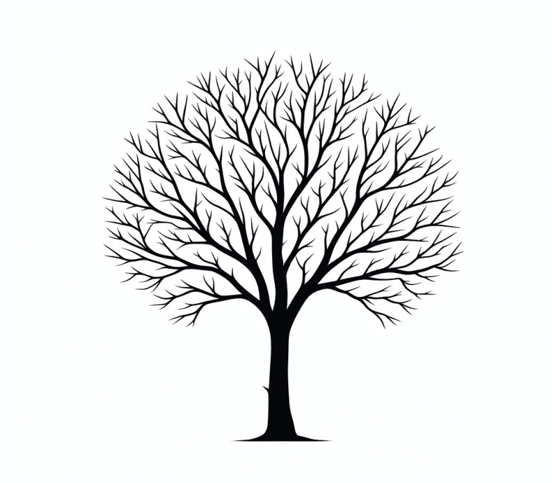 Bare Tree Clip Art Png