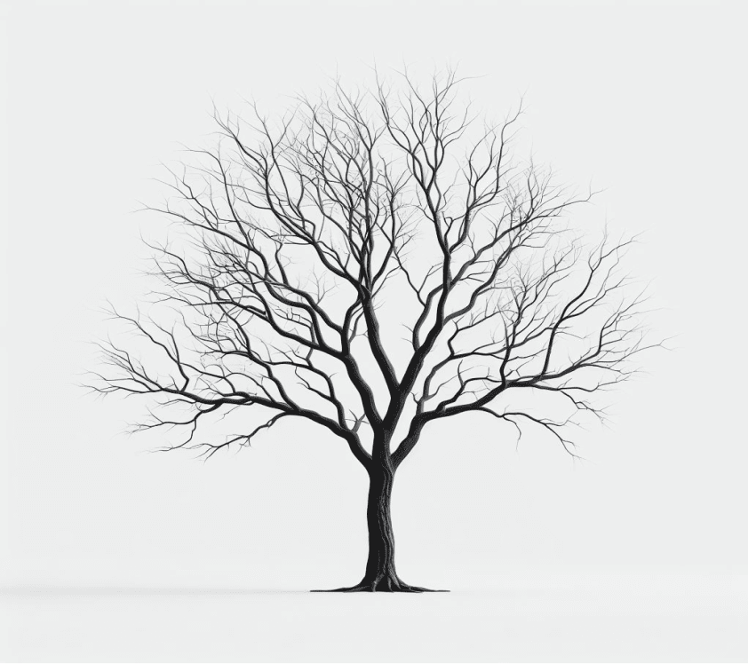 Bare Tree Clipart Download Picture