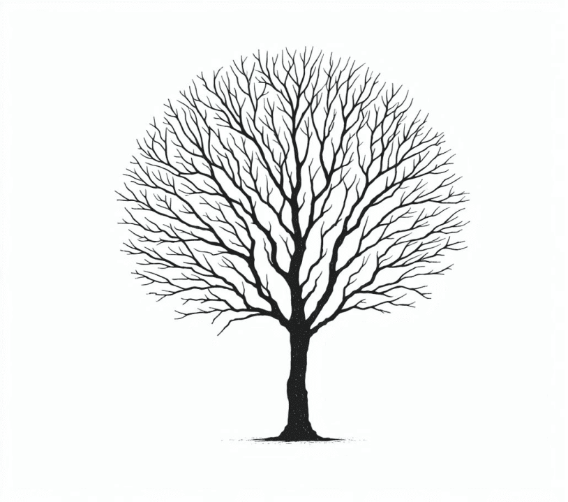 Bare Tree Clipart Download Png