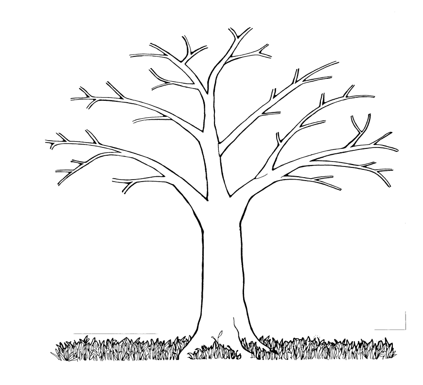 Bare Tree Clipart Image