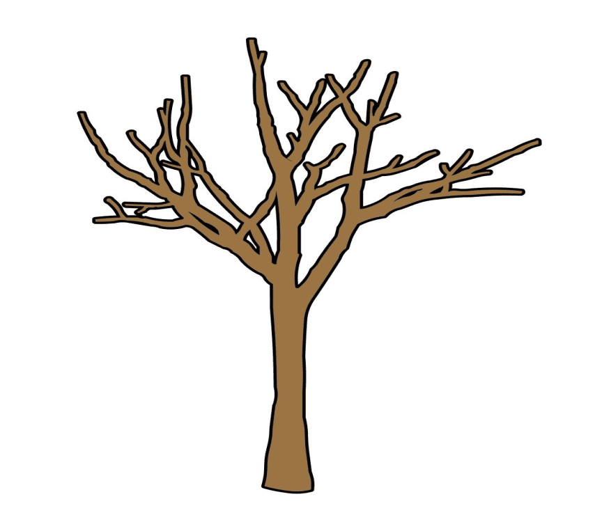 Bare Tree Clipart Picture Png