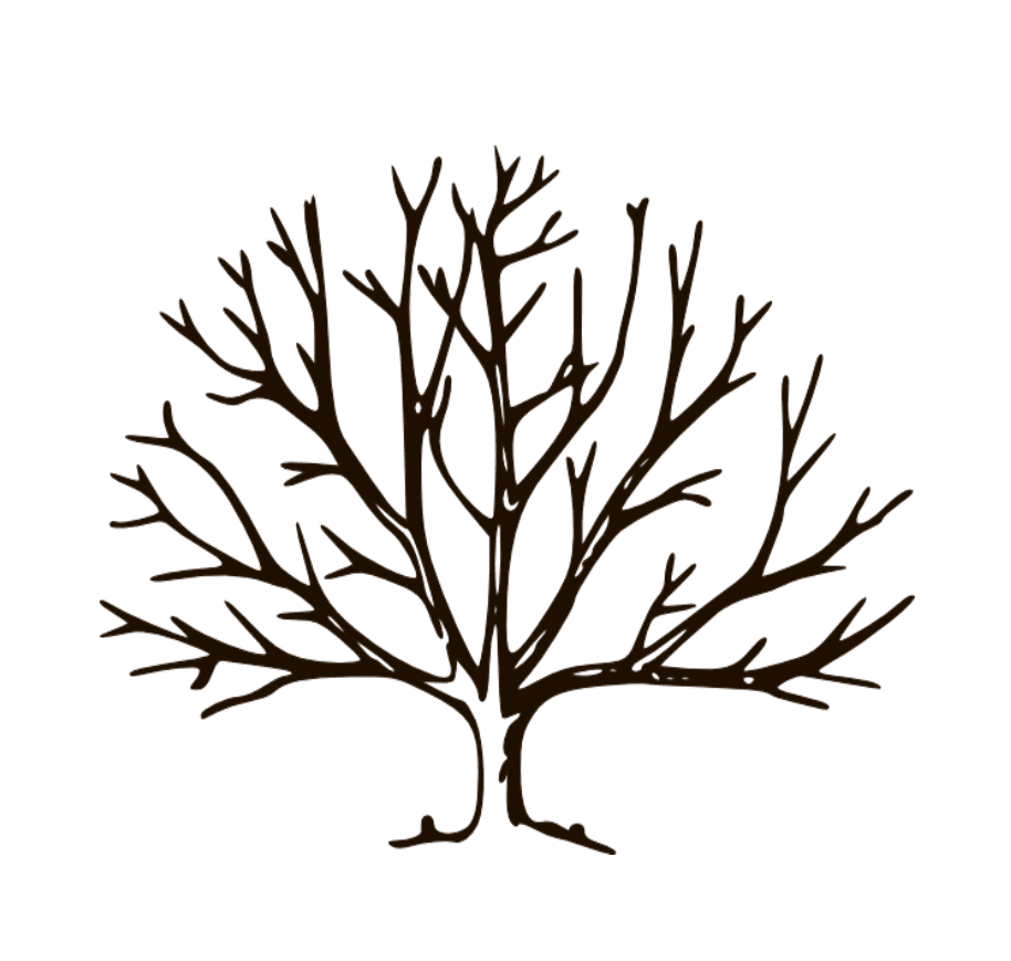 Bare Tree Clipart Png Download