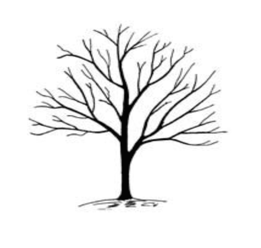 Bare Tree Clipart Png Pictures