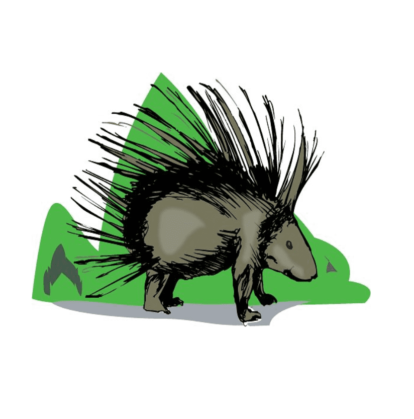 Porcupine Clipart Free Png