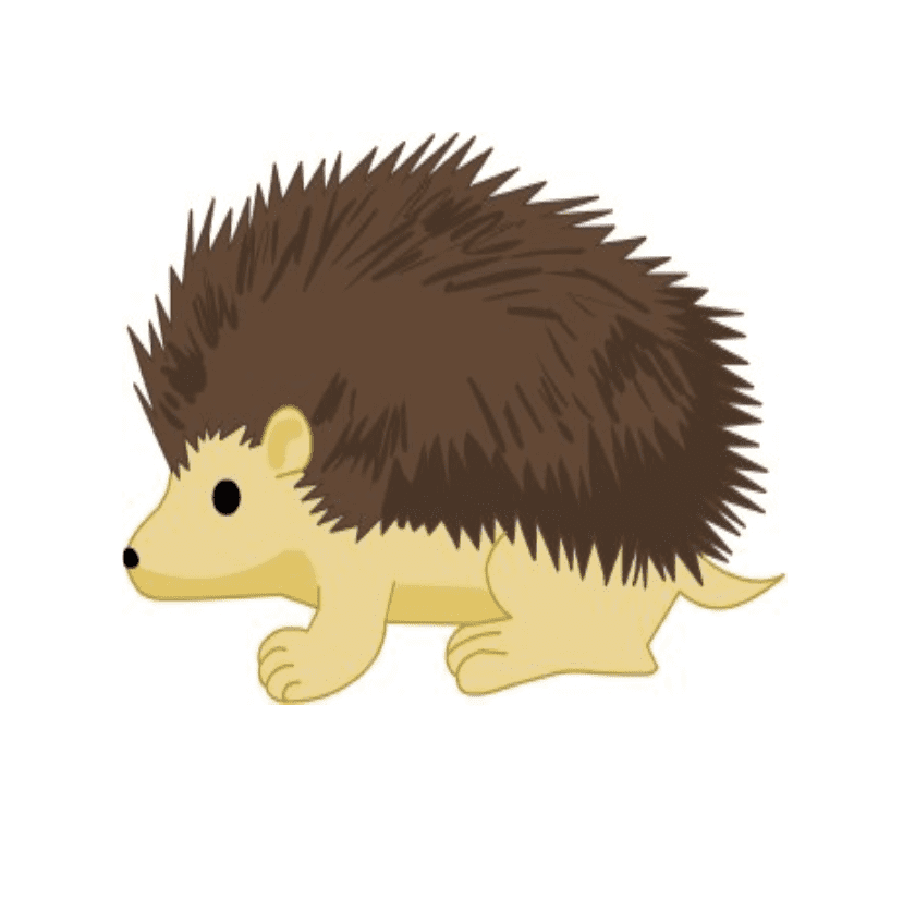 Porcupine Clipart Png Image