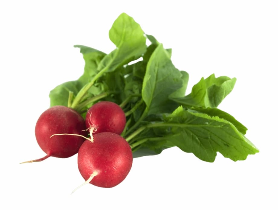 Radish Clipart Free Png Download