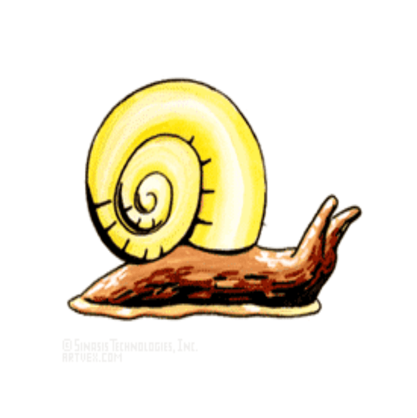 Slug Clipart Png Image