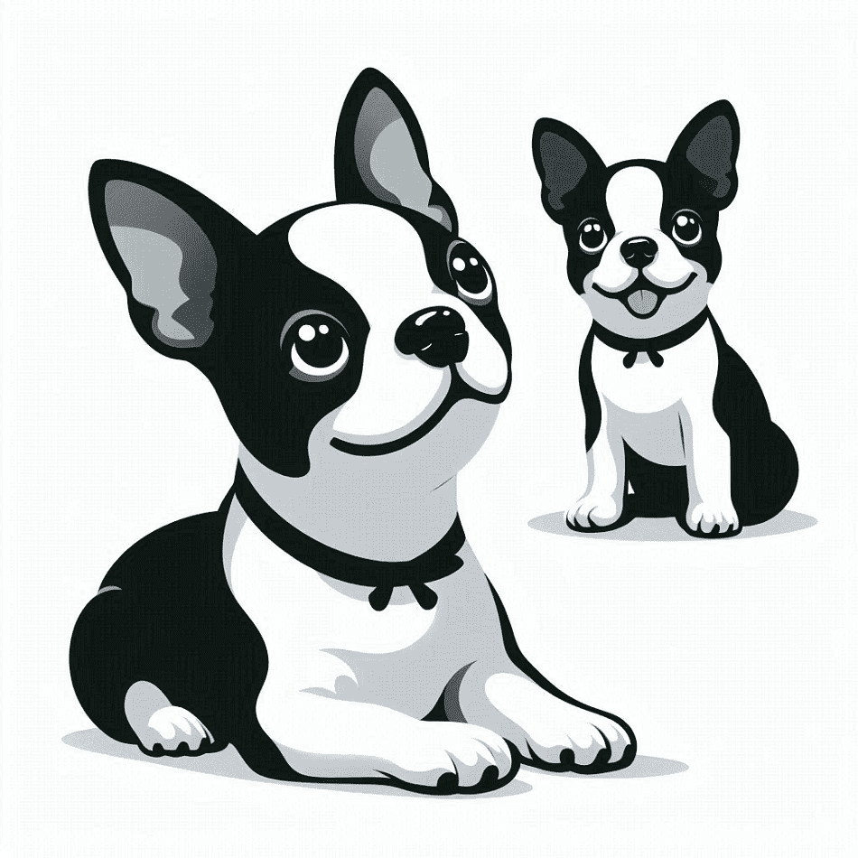 Boston Terrier Clipart Picture Png