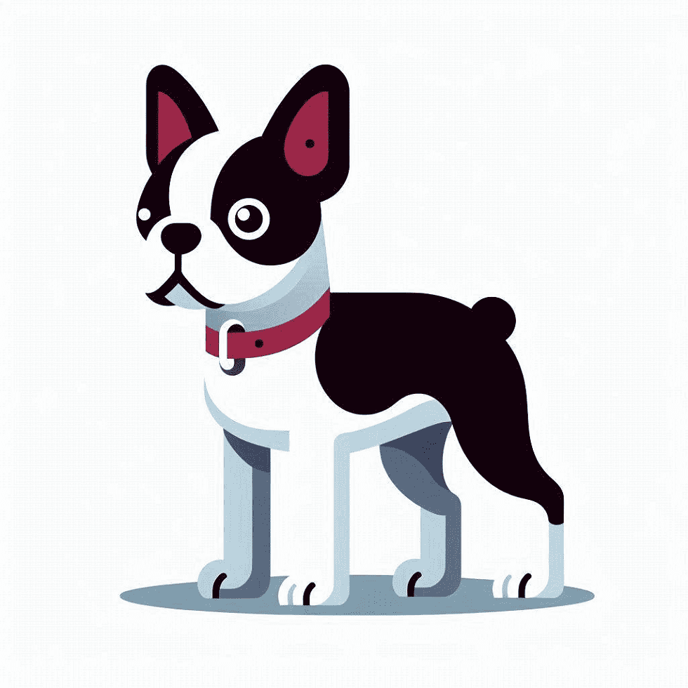 Boston Terrier Clipart Png Images