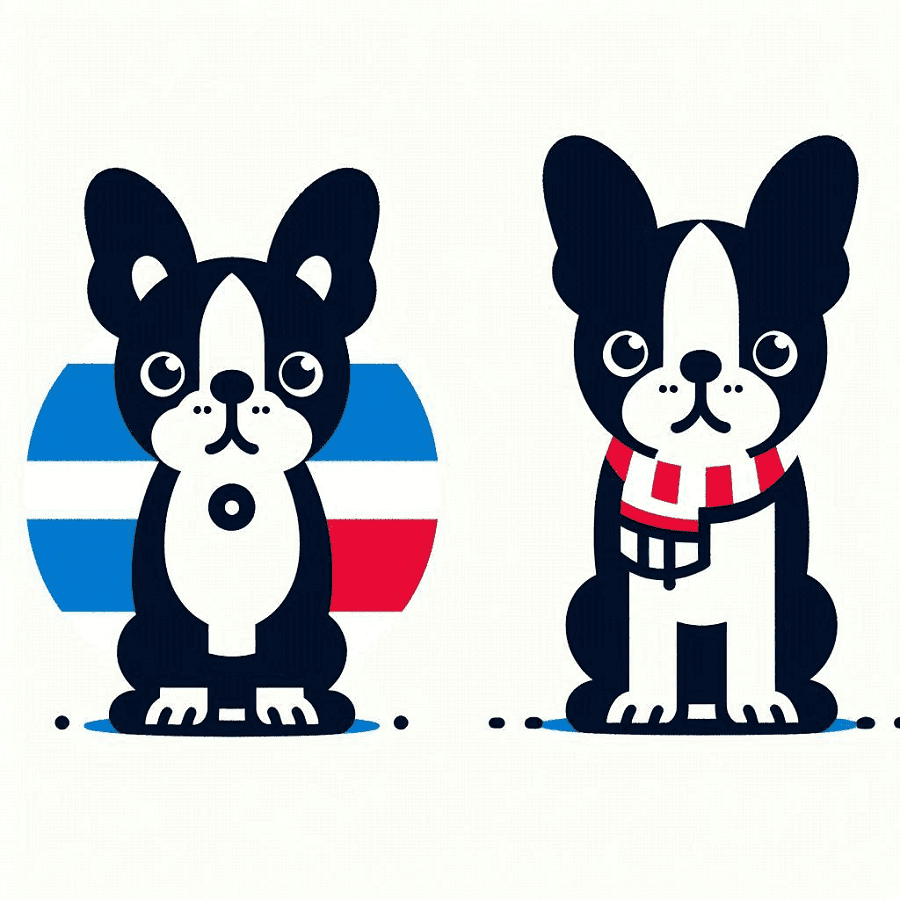 Boston Terrier Clipart Png Photo