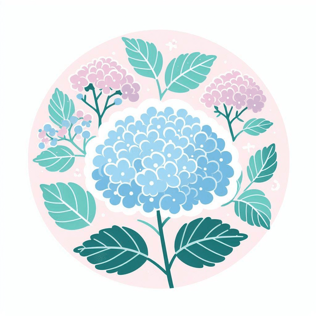 Clipart of Hydrangea Png