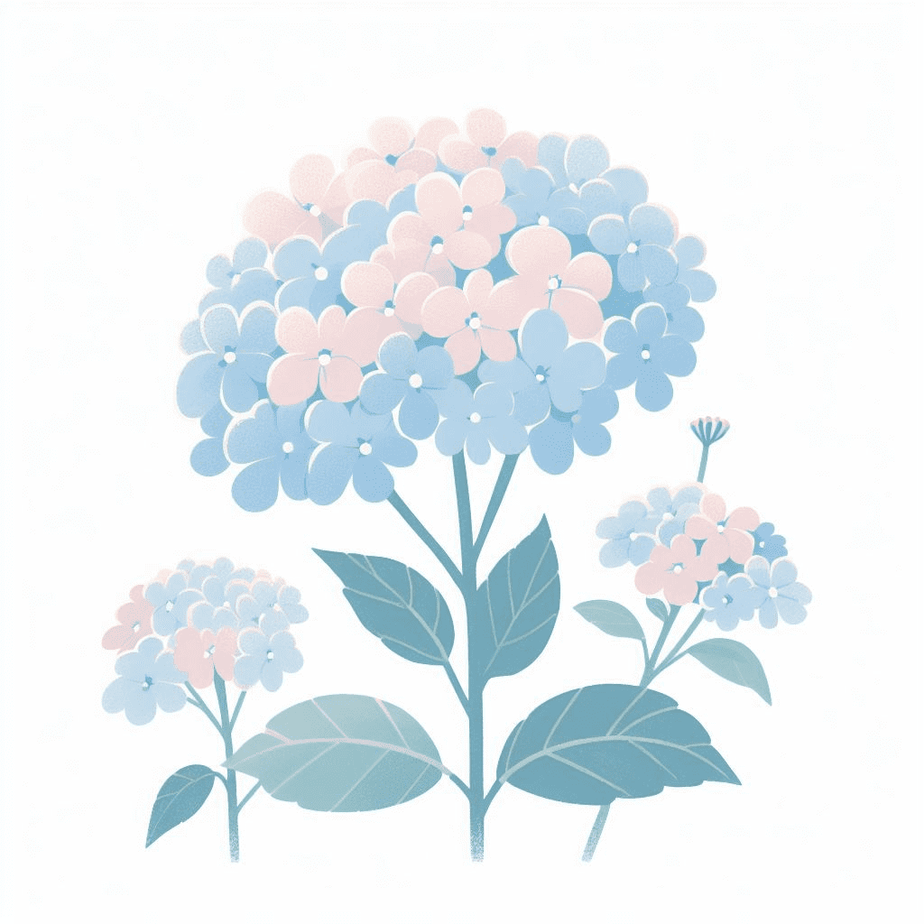 Hydrangea Clipart Download Png