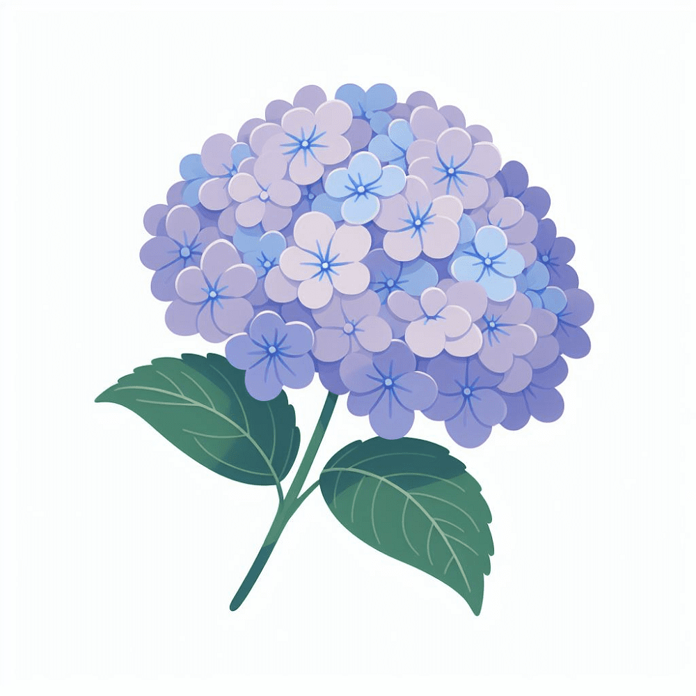 Hydrangea Clipart Free Pictures