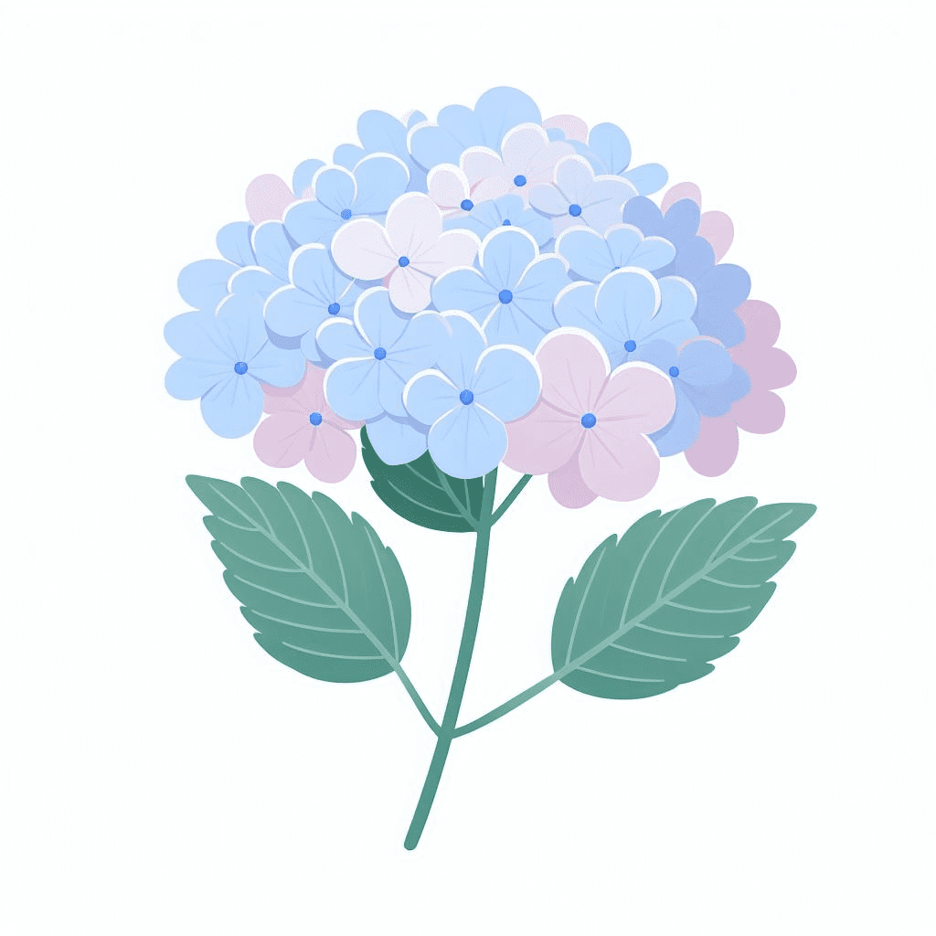 Image of Hydrangea Clipart Download