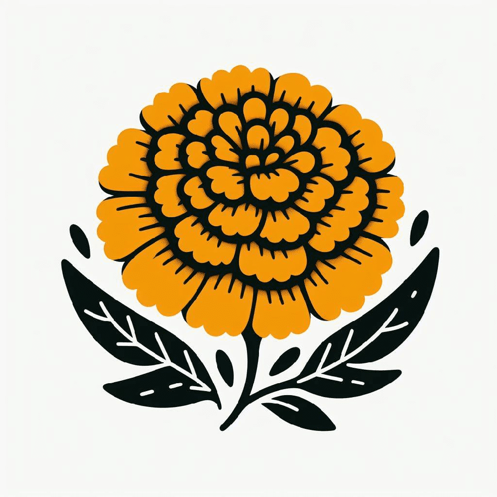 Marigold Clipart Picture Free