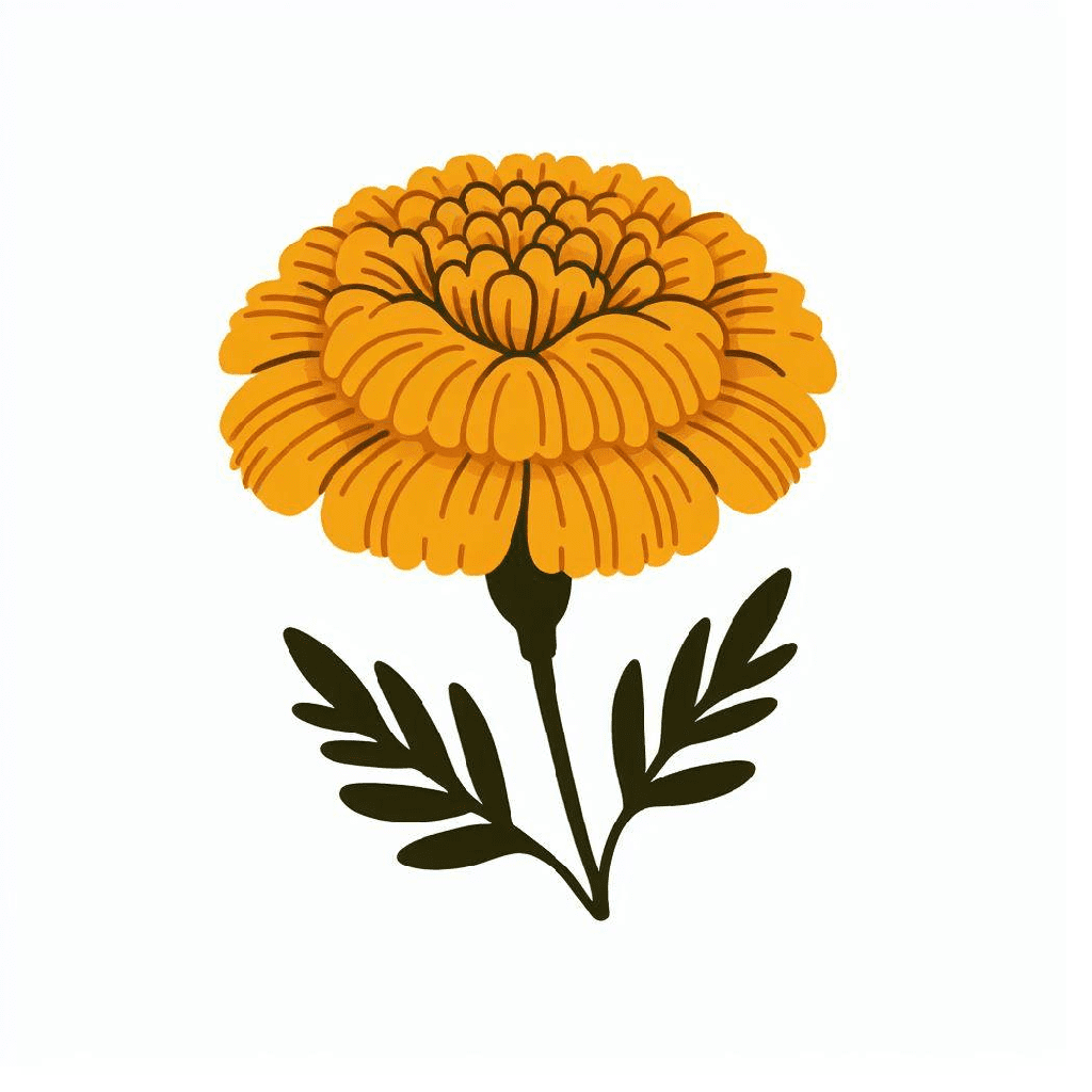 Marigold Clipart Pictures