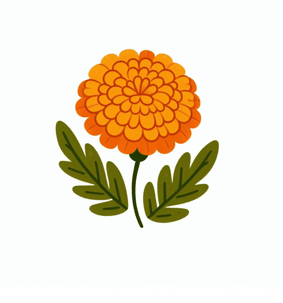 Marigold Clipart Png Free