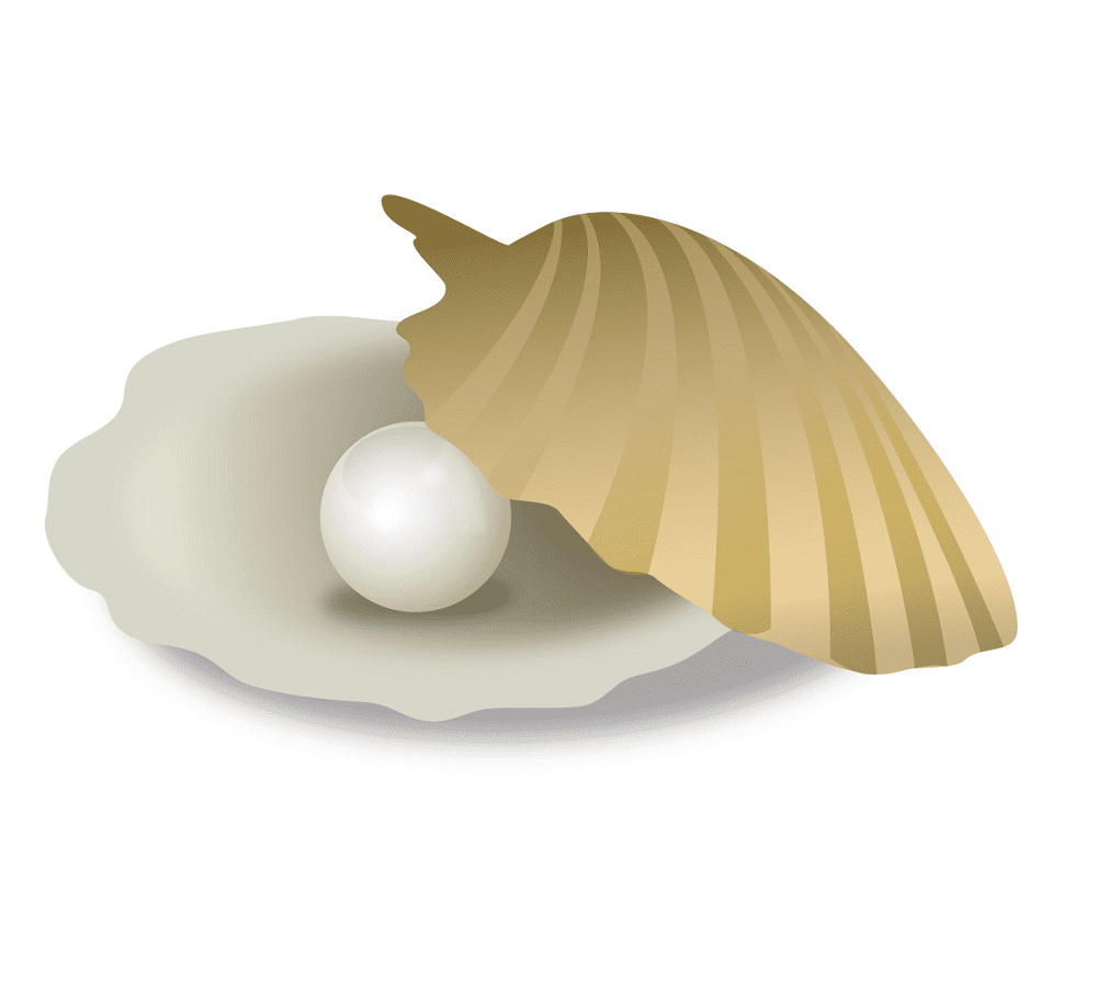 Download Clam Clipart Free