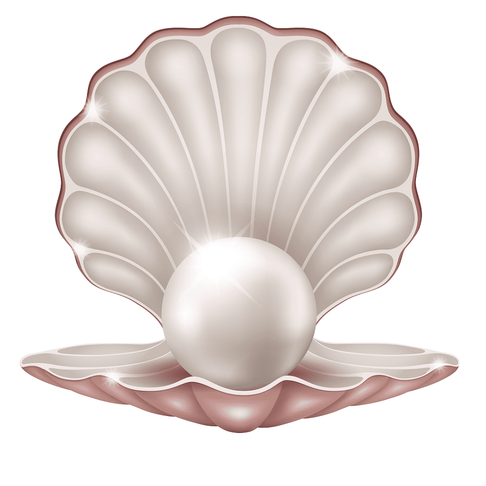 Clam Clipart Download Png