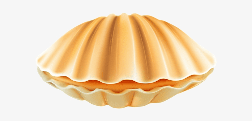 Clam Clipart Images