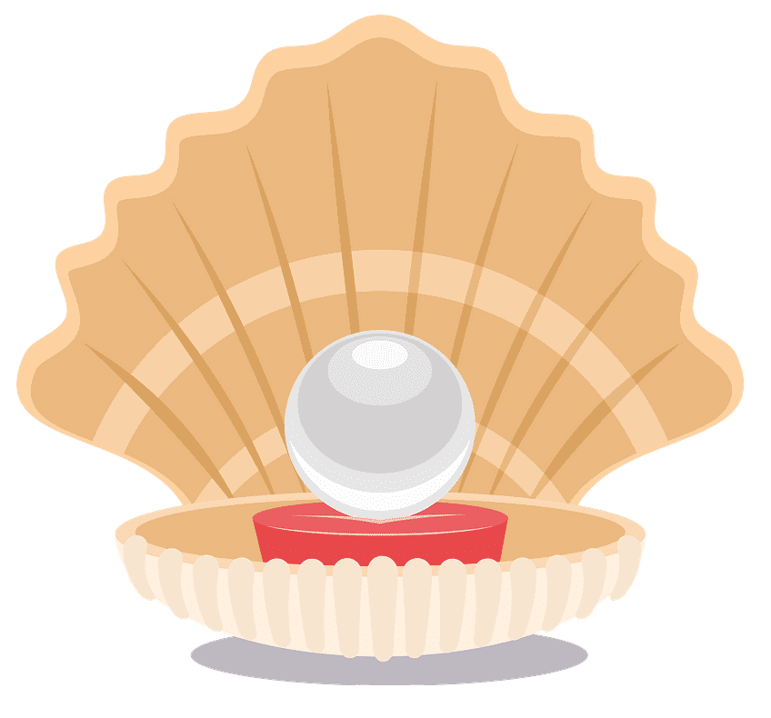 Clam Clipart Photo Png