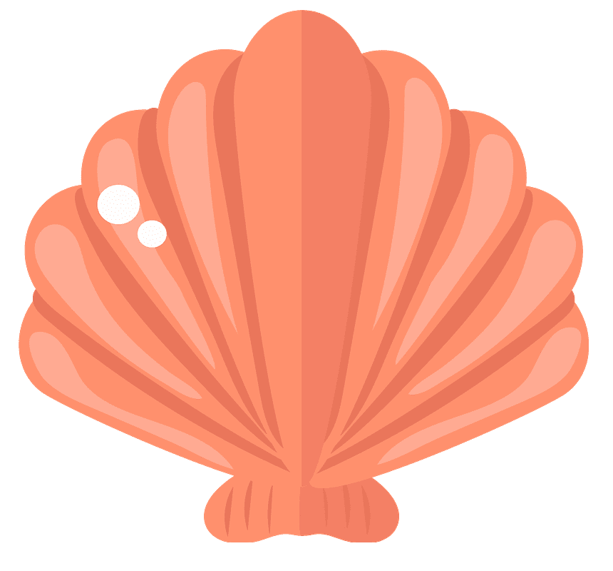 Clam Clipart Pictures Png