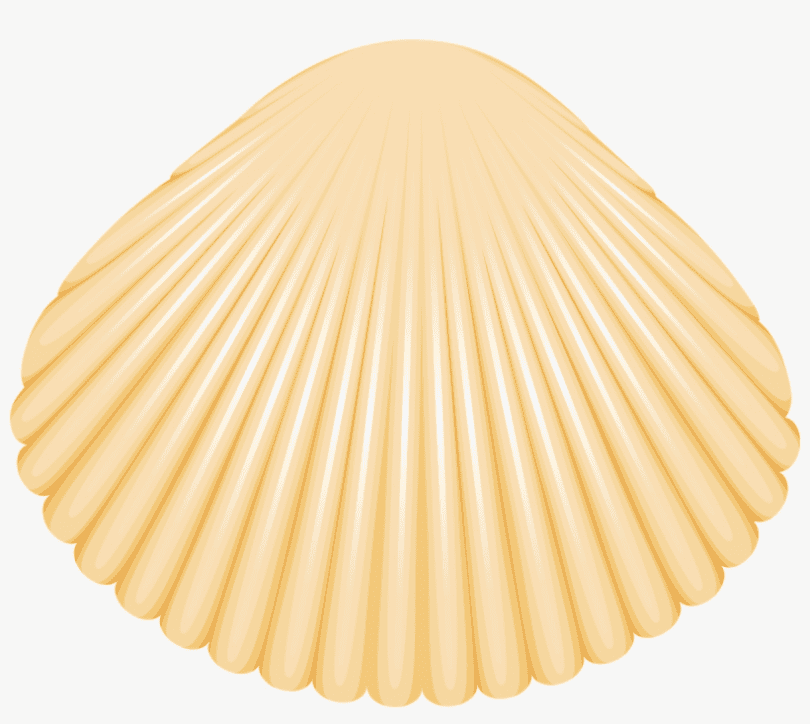 Clam Clipart Png