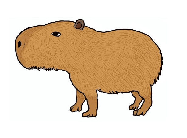 Clipart Capybara Free Photos